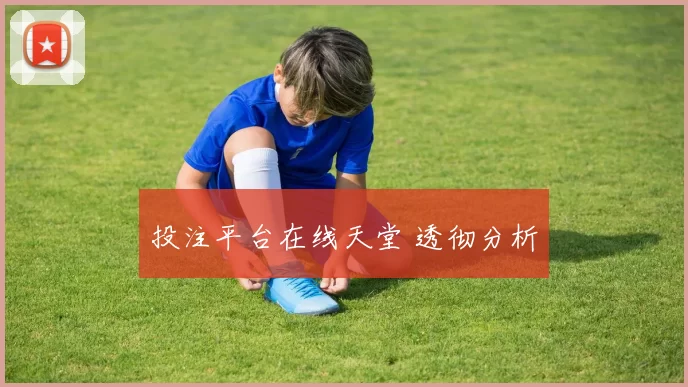 投注平台在线天堂 透彻分析