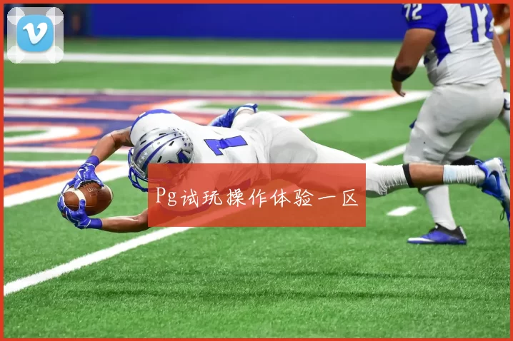 Pg试玩操作体验一区