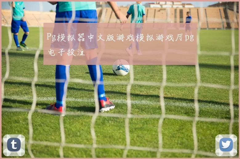 Pg模拟器中文版游戏模拟游戏厅pg电子投注