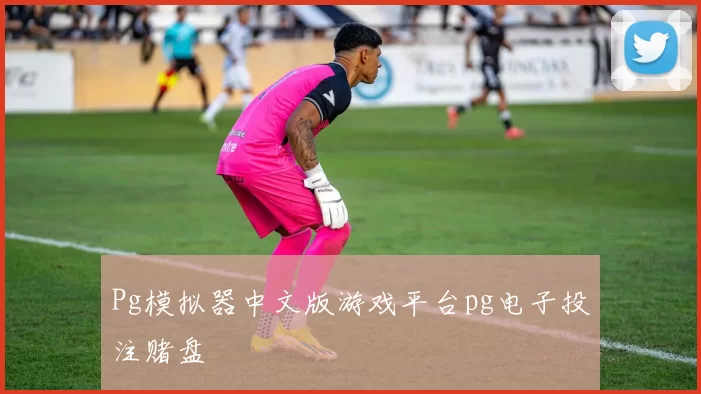 Pg模拟器中文版游戏平台pg电子投注赌盘