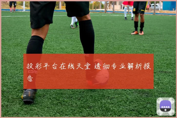 投彩平台在线天堂 透彻专业解析报告