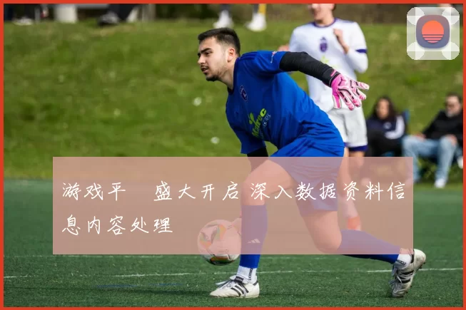 游戏平臺盛大开启 深入数据资料信息内容处理