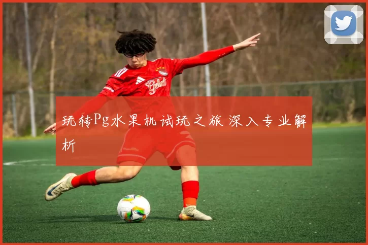 玩转Pg水果机试玩之旅 深入专业解析