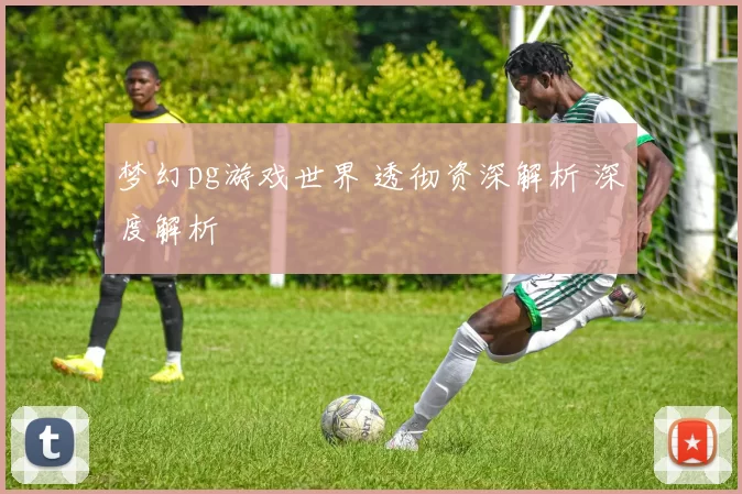 梦幻pg游戏世界 透彻资深解析 深度解析