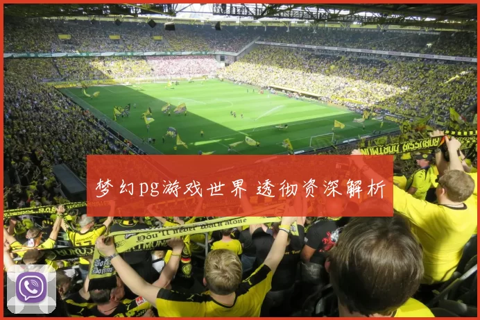 梦幻pg游戏世界 透彻资深解析