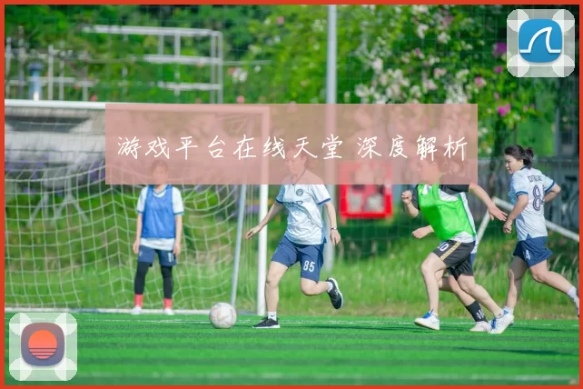 游戏平台在线天堂 深度解析