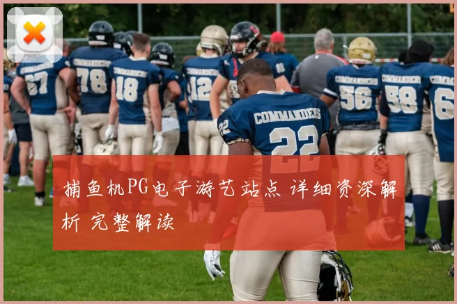 捕鱼机PG电子游艺站点 详细资深解析 完整解读