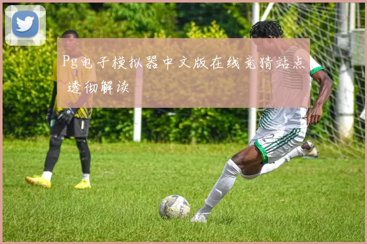 Pg电子模拟器中文版在线竞猜站点 透彻解读