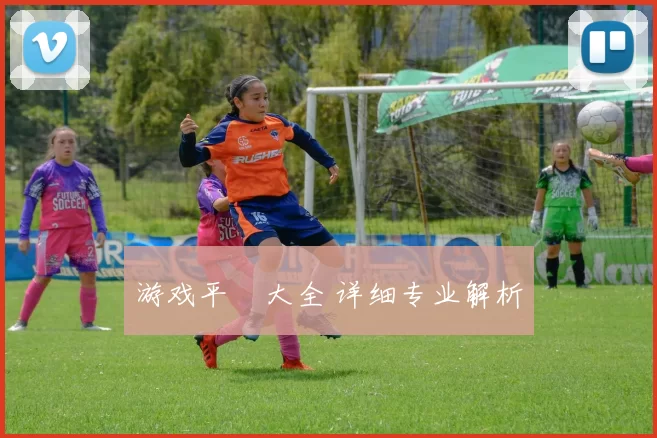 游戏平臺大全 详细专业解析