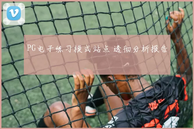 PG电子练习模式站点 透彻分析报告