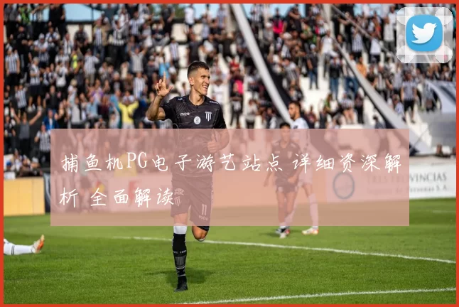 捕鱼机PG电子游艺站点 详细资深解析 全面解读