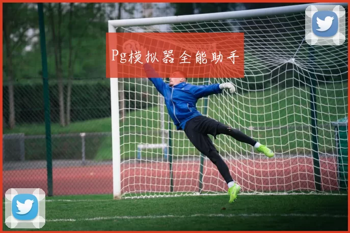 Pg模拟器全能助手